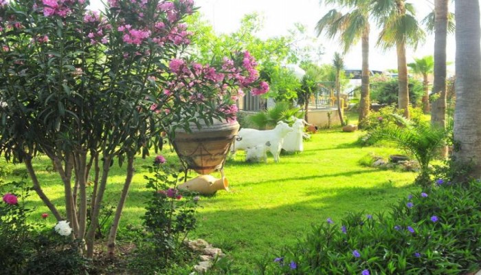 Hotel Asrin Beach poza 21