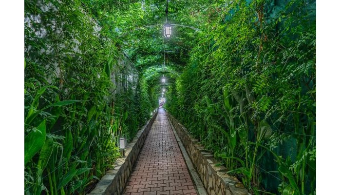 Atlas Beach Hotel - Ai poza 11