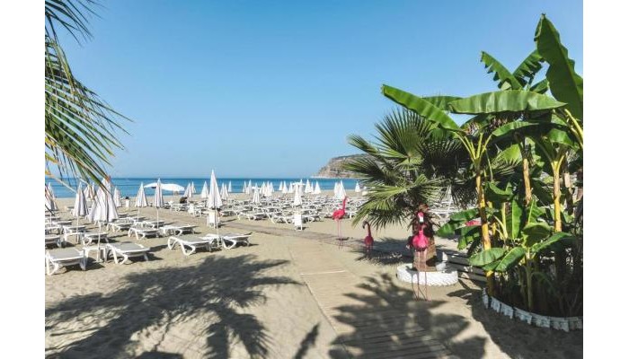 Hotel Blue Wave Suite poza 23