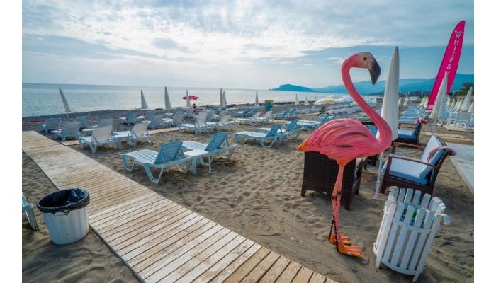 Campus Hill Hotel poza 26