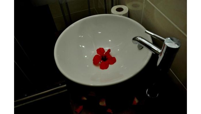 Hotel Concordia Celes poza 9