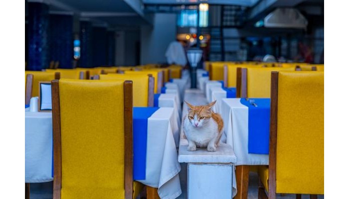 Hotel Relax Beach poza 13