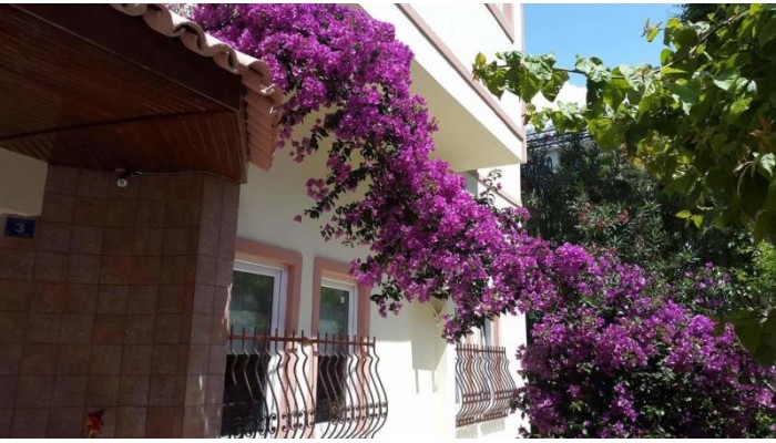 Seda Apart Hotel poza 8