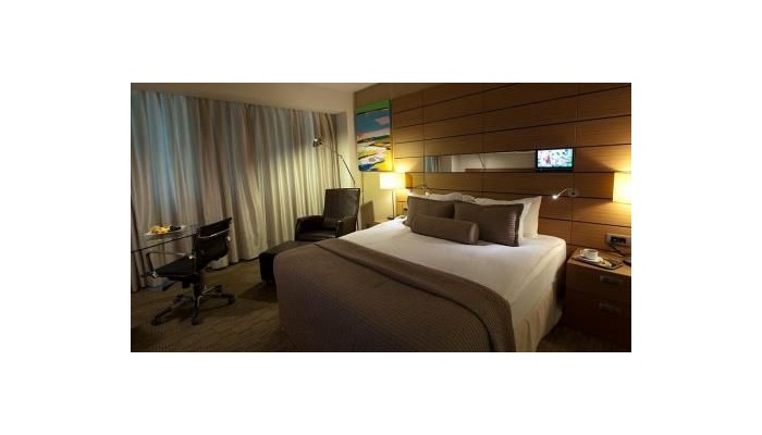 Hotel Crowne Plaza Ankara poza 10