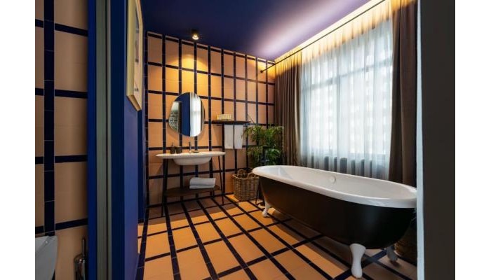 Alp Pasa Hotel poza 8