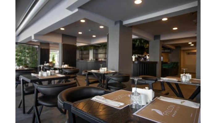 Hotel Falcon 1511 poza 10