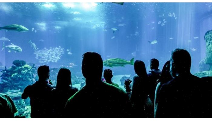 Hotel Su & Aqualand poza 1