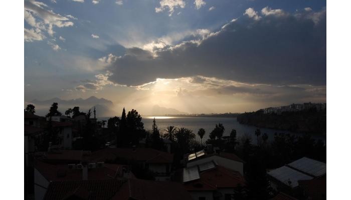 Villa Tulipan poza 16