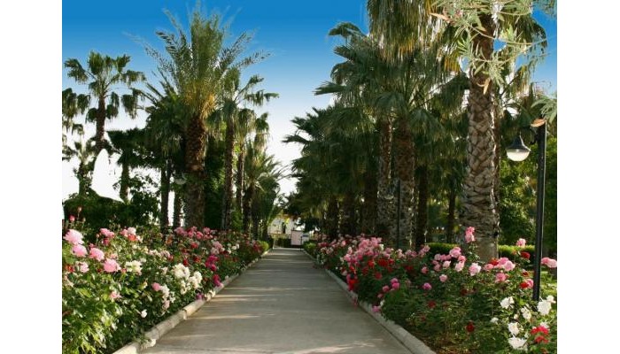 Adora Hotel & Resort poza 0