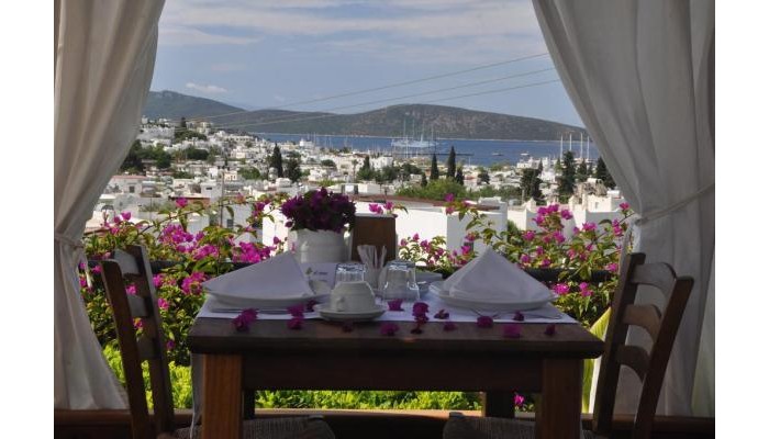 El Vino Hotel And Suites poza 17