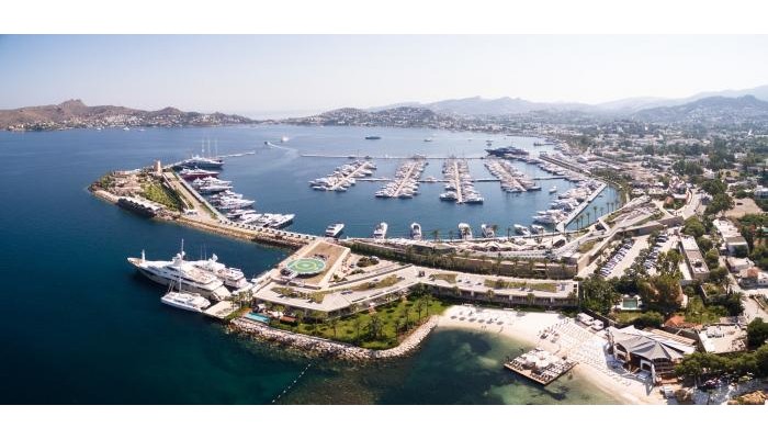 Elegant Villa 2 9 poza 0