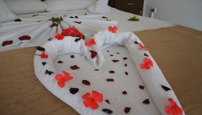 Poza pentru Family Belvedere Hotel 28-1480579977 Family Belvedere Hotel poza 8