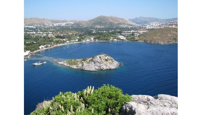 Hotel Arriba Pension & Restaurant poza 0