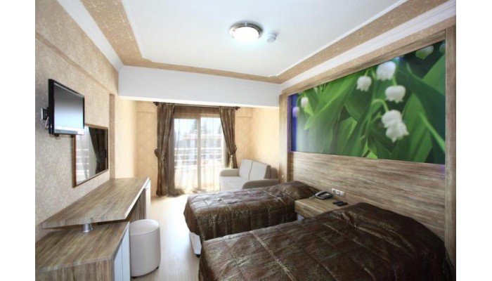 Hotel Delfi Spa poza 8