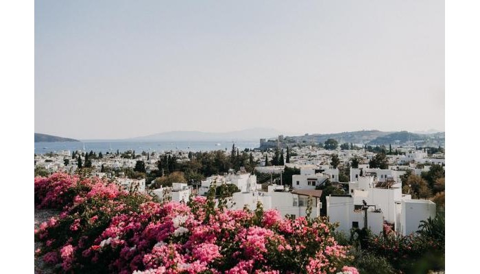 Hotel El Vino Restaurant poza 12