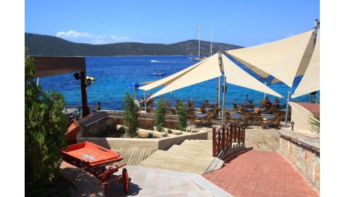 Hotel Tui Magic Life Bodrum - Adults Only poza 4
