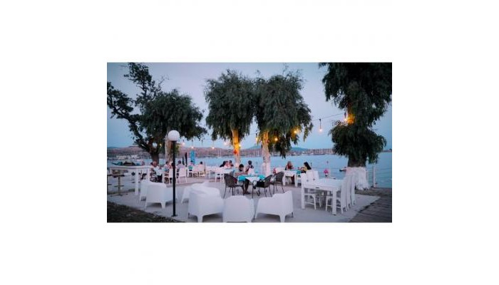 Hotel Gumbet Cove poza 7