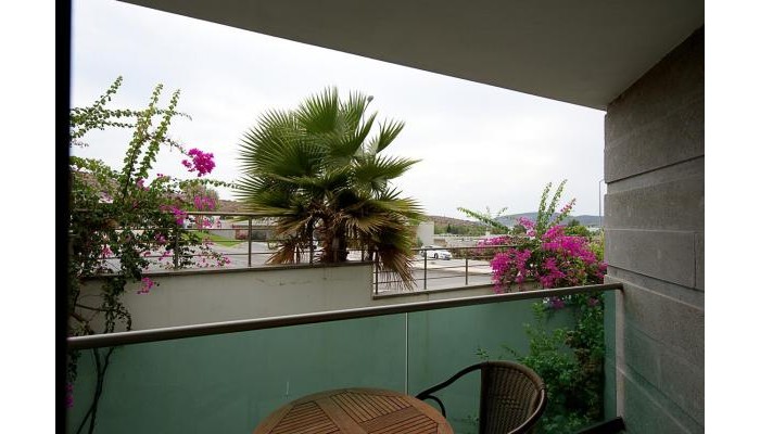 Hotel Royal Palm Residence poza 15