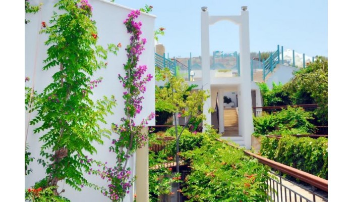 Siesta Beach Apartments poza 5