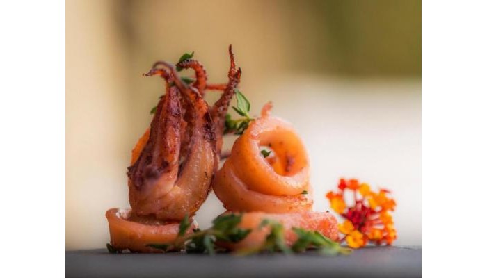 Hotel Torbahan poza 17