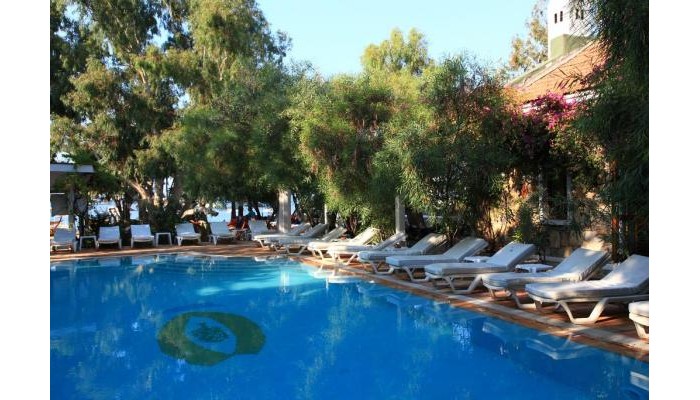 Poza pentru Okaliptus Hotel 9297-1567674826 Okaliptus Hotel poza 0