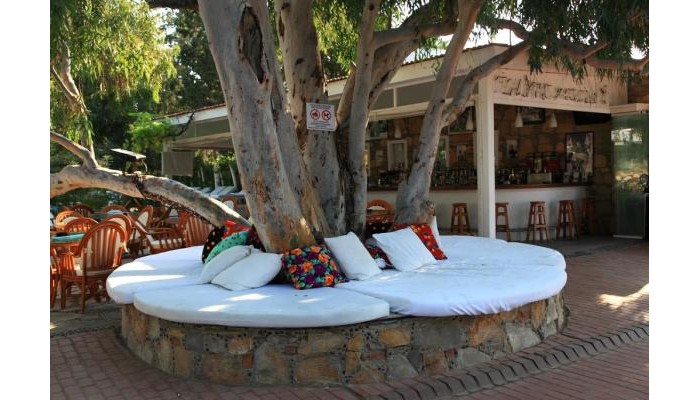 Poza pentru Okaliptus Hotel 9678-1567674827 Okaliptus Hotel poza 2