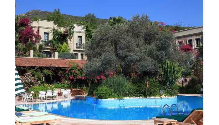 Hotel Zeytinada poza 0