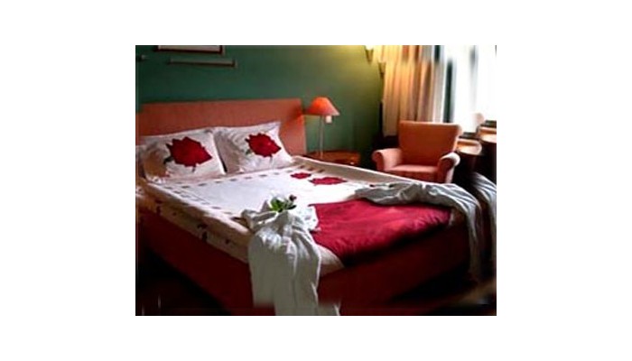 Hotel Celik Palas poza 5