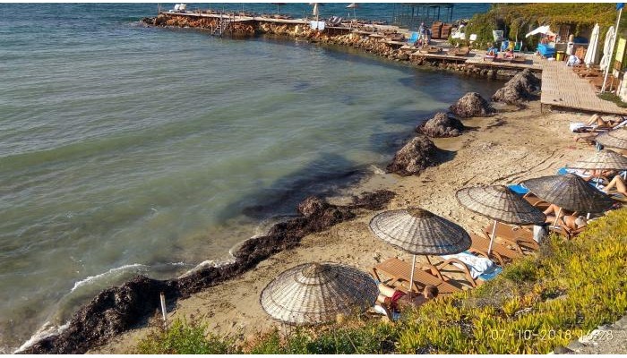 Poza pentru Babaylon Hotel 231-1616409392 Babaylon Hotel poza 10