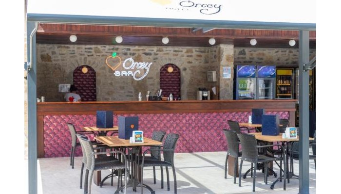 Hotel Orcey poza 18