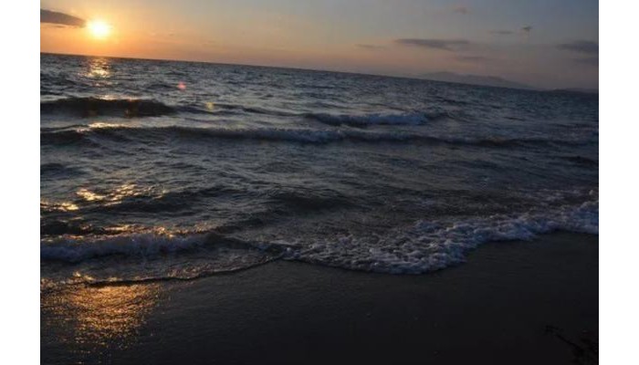 Hotel Club Papatya poza 11