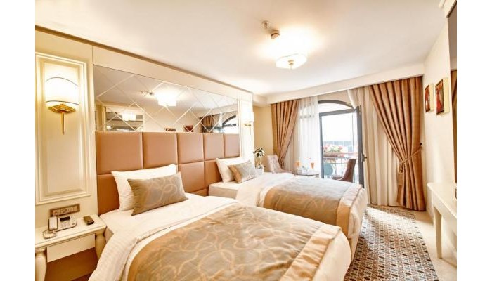 Beethoven Hotel poza 11