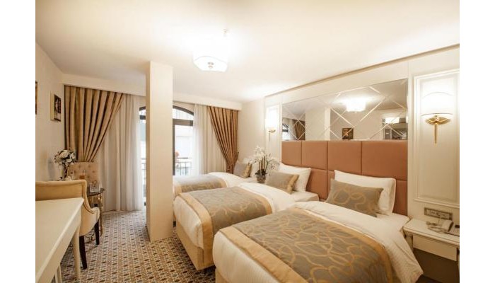 Beethoven Hotel poza 2