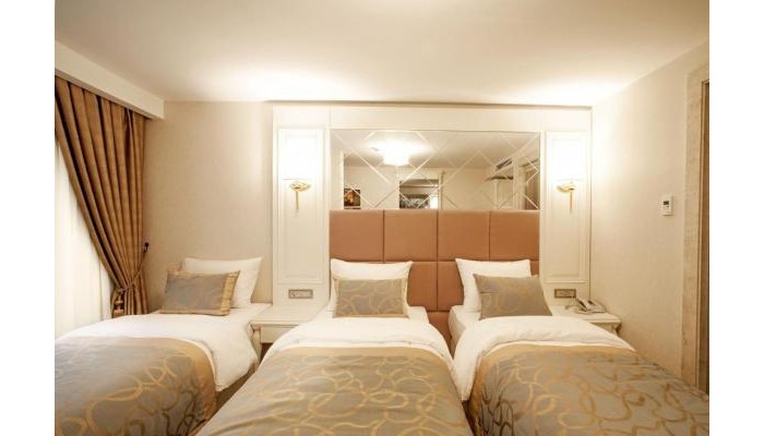 Beethoven Hotel poza 7