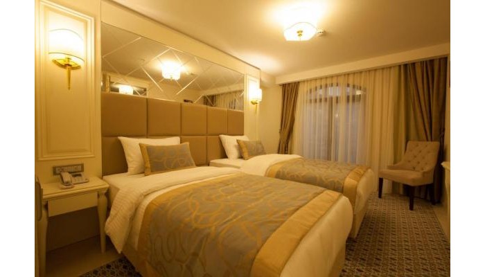 Beethoven Hotel poza 13