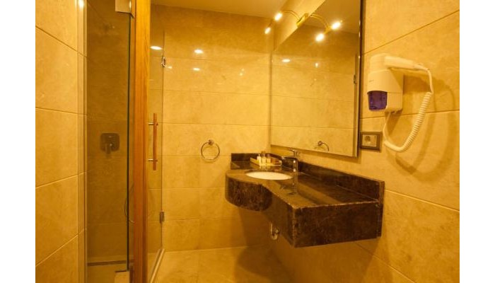 Beethoven Hotel poza 8