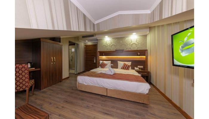 Vision Deluxe Hotel poza 8