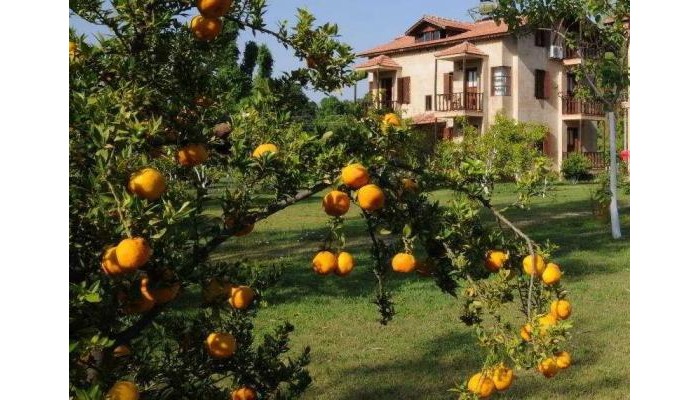 Hotel Yonca Lodge poza 0