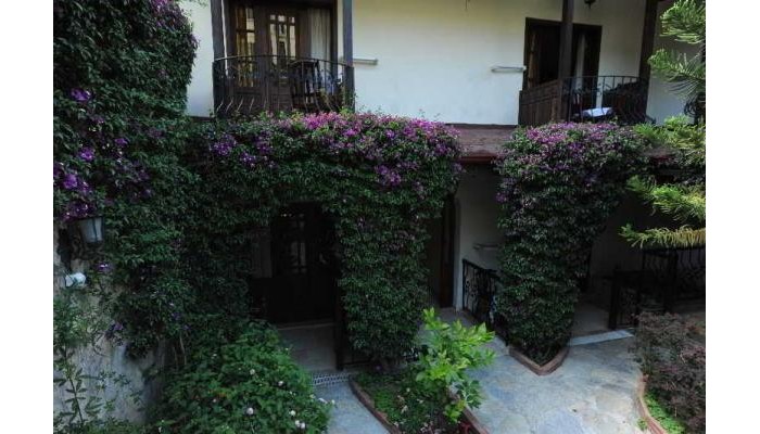 Villa Daffodil Hotel poza 8