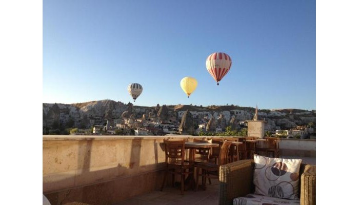 Hotel Walnut House poza 19