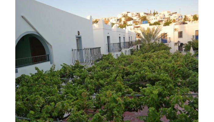 Dilek Apartments poza 6