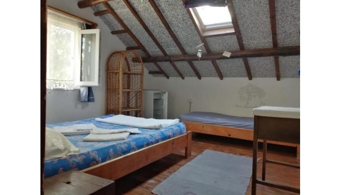Hotel Ecer Pansiyon poza 10