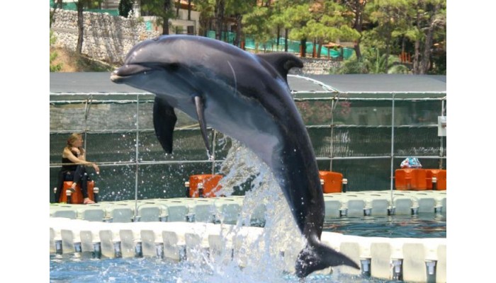 Hotel Labranda Mares Marmaris poza 17