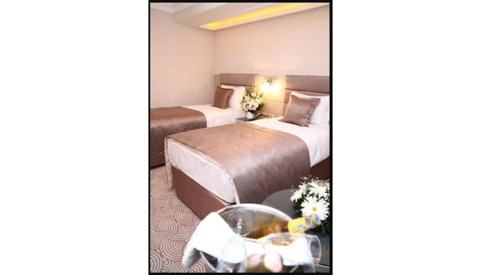 Amethyst Hotel poza 9