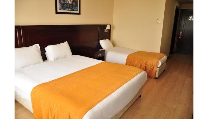 Eser Diamond Hotel And Convention Centre poza 6