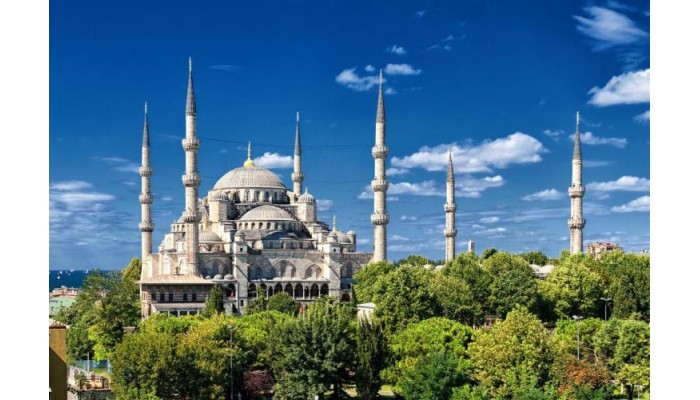 Hotel Divas Boutique poza 11