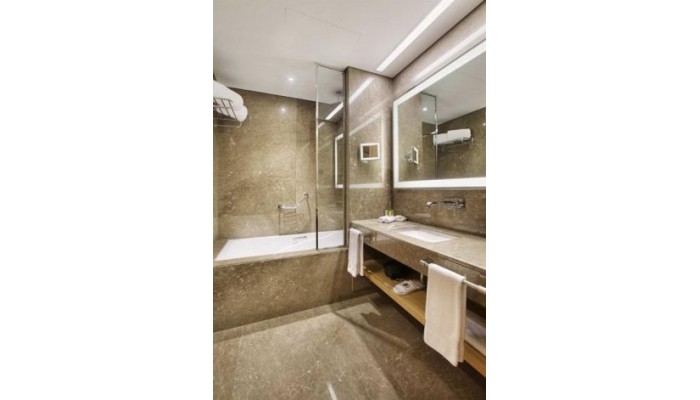 Hotel Doubletree By Hilton Istanbul Avcilar poza 27