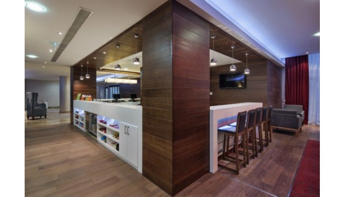 Hotel Hampton By Hilton Istanbul Kayasehir poza 9