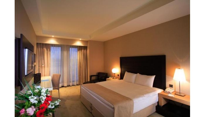 Hotel Holiday Inn Istanbul Airport poza 11