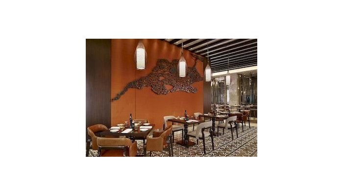 Hotel Hyatt Regency Istanbul Atakoey poza 6